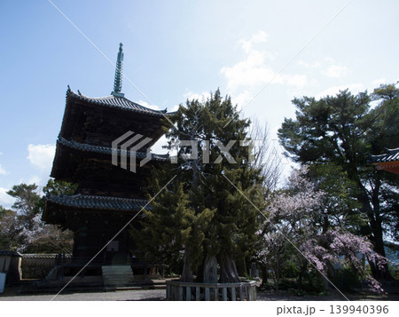 桜と道成寺 139940396