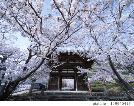 桜と長保寺 桜と長保寺 139940417