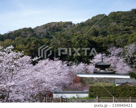 桜と長保寺 桜と長保寺 139940421
