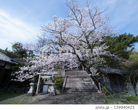 桜と中言神社 139940425