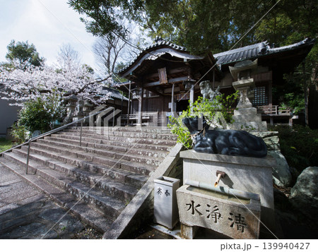 桜と中言神社 桜と中言神社 139940427