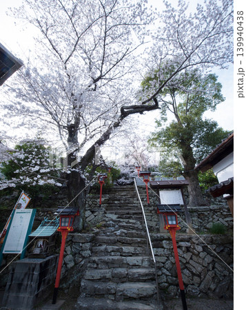 桜と橘本神社 桜と橘本神社 139940438