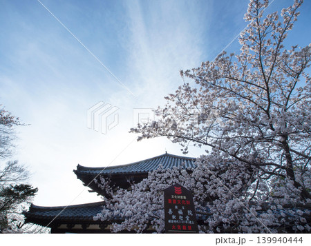 桜と善福院 桜と善福院 139940444