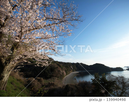 桜と瀬戸内海 笠戸島 桜と瀬戸内海 笠戸島 139940498
