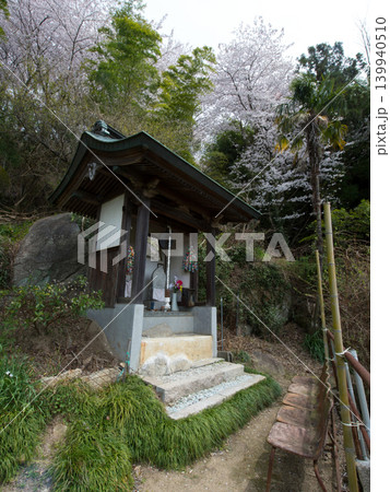 嫁いらず観音 屋代島 嫁いらず観音 屋代島 139940510