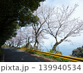 五条の千本桜　屋代島 139940534