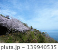 五条の千本桜　屋代島 139940535