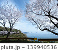 五条の千本桜　屋代島 139940536