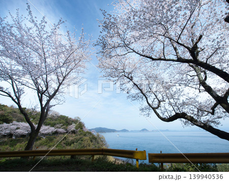 五条の千本桜　屋代島 139940536
