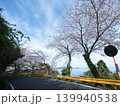 五条の千本桜　屋代島 139940538