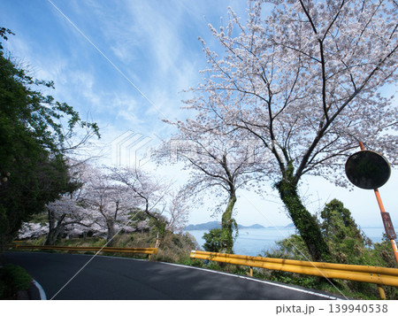 五条の千本桜 屋代島 五条の千本桜 屋代島 139940538