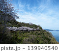 五条の千本桜　屋代島 139940540