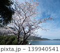 桜と瀬戸内海　屋代島 139940541