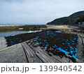 ヒジキ日干し　屋代島 139940542