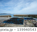 ヒジキ日干し　屋代島 139940543