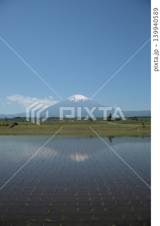 田植えの終わった水田と逆さ富士山 139940589