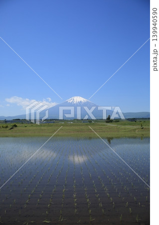 田植えの終わった水田と逆さ富士山 139940590
