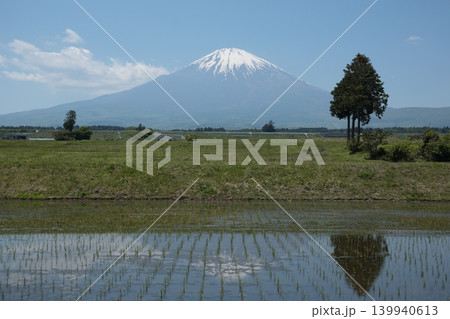 田植えの終わった水田と逆さ富士山 田植えの終わった水田と逆さ富士山 139940613