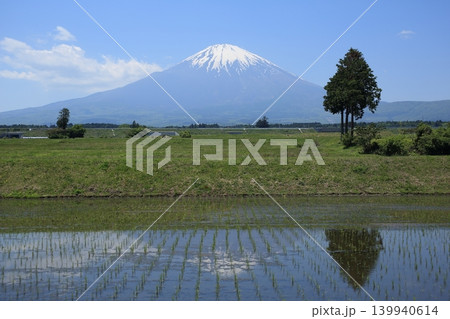 田植えの終わった水田に映る逆さ富士山 139940614