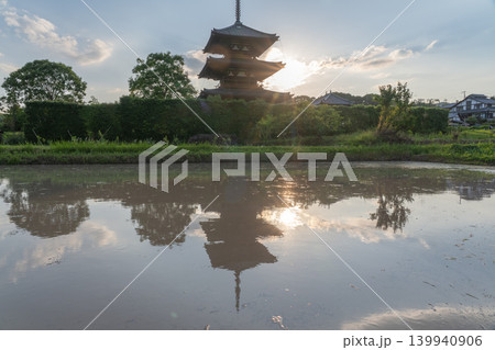 斑鳩の初夏の風景である法起寺を映し出す水温む水田っを撮影 斑鳩の初夏の風景である法起寺を映し出す水温む水田っを撮影 139940906
