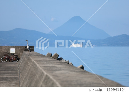 開聞岳とフェリーボートと海鳥のある風景 開聞岳とフェリーボートと海鳥のある風景 139941194