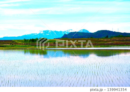 田植え後田んぼの水面に映り込むハサ木・残雪の越後三山山並み 田植え後田んぼの水面に映り込むハサ木・残雪の越後三山山並み 139941354