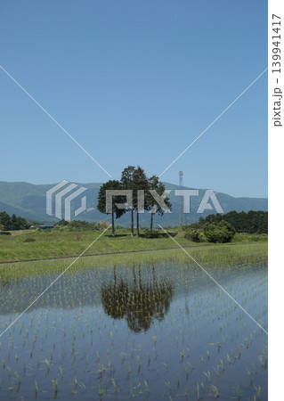 田植えの終わった水田 田植えの終わった水田 139941417