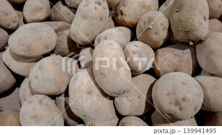 Fresh Raw Potatoes Pile Close Up Background for Food Industry 139941495