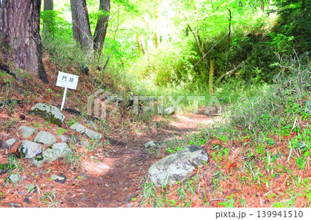 要害山城　続日本100名城 139941510