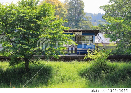 小湊鐵道「緑美しい初夏の飯給駅」 小湊鐵道「緑美しい初夏の飯給駅」 139941955