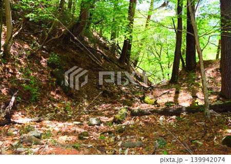 要害山城 続日本100名城 要害山城 続日本100名城 139942074