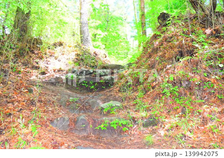 要害山城 続日本100名城 要害山城 続日本100名城 139942075