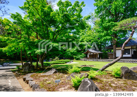 東京都　杉並区　観泉寺（かんせんじ）　池の庭園　今川氏真の開基　曹洞宗　都旧跡 139942495