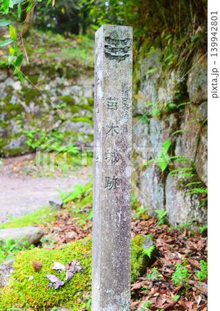 苗木城　続日本100名城 139942801