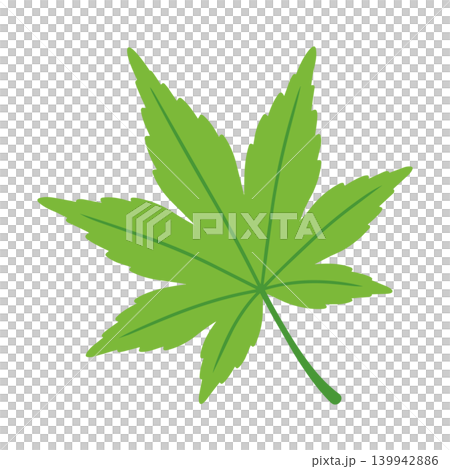 簡潔的日式扁平風格綠色楓葉插畫。 簡潔的日式扁平風格綠色楓葉插畫。 139942886