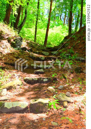 要害山城　続日本100名城 139942912