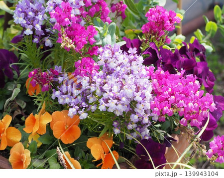 プランターに美しく植えられたカラフルな春の花々 プランターに美しく植えられたカラフルな春の花々 139943104