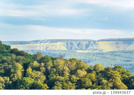 Summer Mountains Landscape with Green forest. 139943637