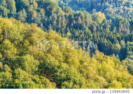 Summer Mountains Landscape with Green forest. 139943695