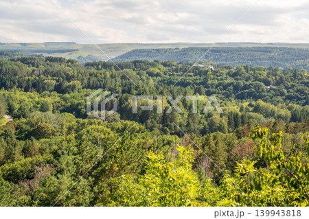 Summer Mountains Landscape with Green forest. 139943818