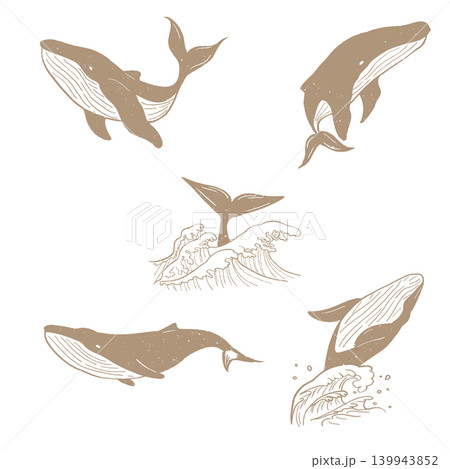 版画風　クジラの色々なポーズ集　単色　金 139943852