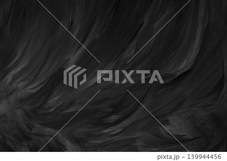 Beautiful black grey bird feathers pattern texture background. 139944456
