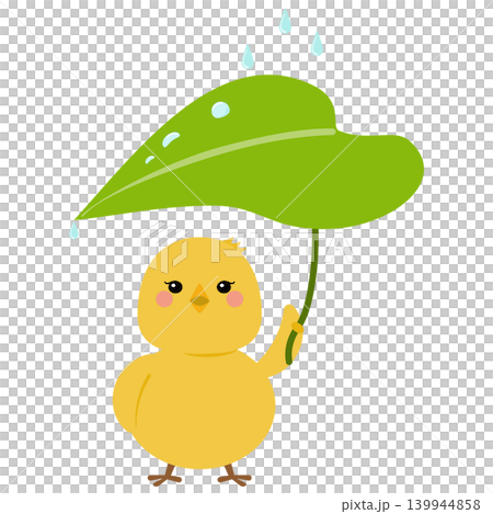 一隻小雞抬頭望著落在樹葉傘上的雨滴。 一隻小雞抬頭望著落在樹葉傘上的雨滴。 139944858