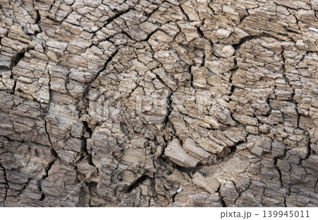 Macro photo of a weathered wooden log structure 139945011