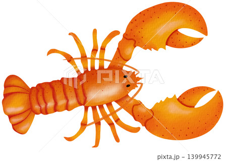Shrimp  139945772