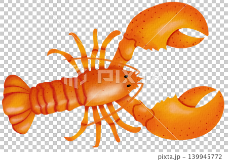 Shrimp  139945772