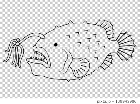 Anglerfish (side view, line drawing) Anglerfish (side view, line drawing) 139945986