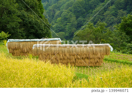 250923秋山郷結東の石垣田 139946071