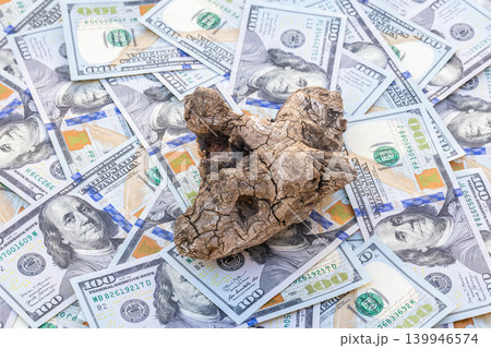 Scattered One Hundred Dollar Bills with Driftwood 139946574