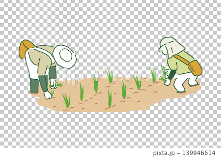 田植えしている米農家 ベクターイラスト 田植えしている米農家 ベクターイラスト 139946614